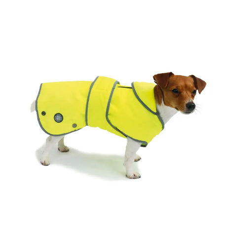 Ancol Stormguard Hi-Vis Dog Coat Reflective Yellow Xlarge (60cm X 72-88cm) Yellow Dog Coat