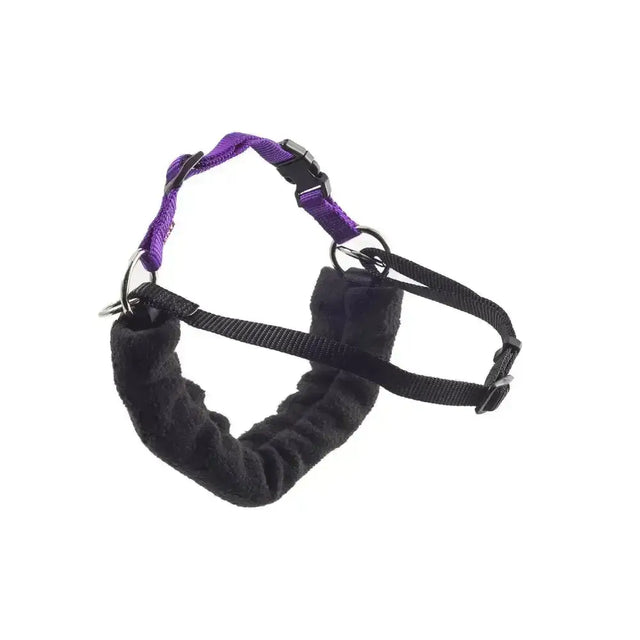 Purple and black ancol the happy at heels dog harness with plush padded chest strap for a wonderful training aid