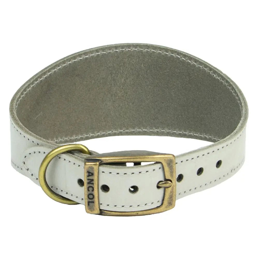White leather ancol timberwolf hound collar with brass buckle and d-ring featuring sturdy bridle leather design