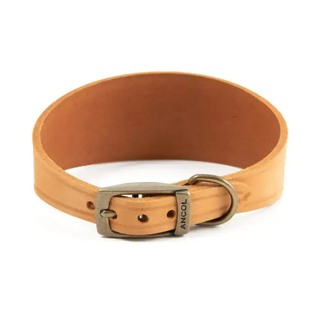 Tan leather ancol timberwolf hound collar in mustard with a silver buckle and engraved ancol brand name