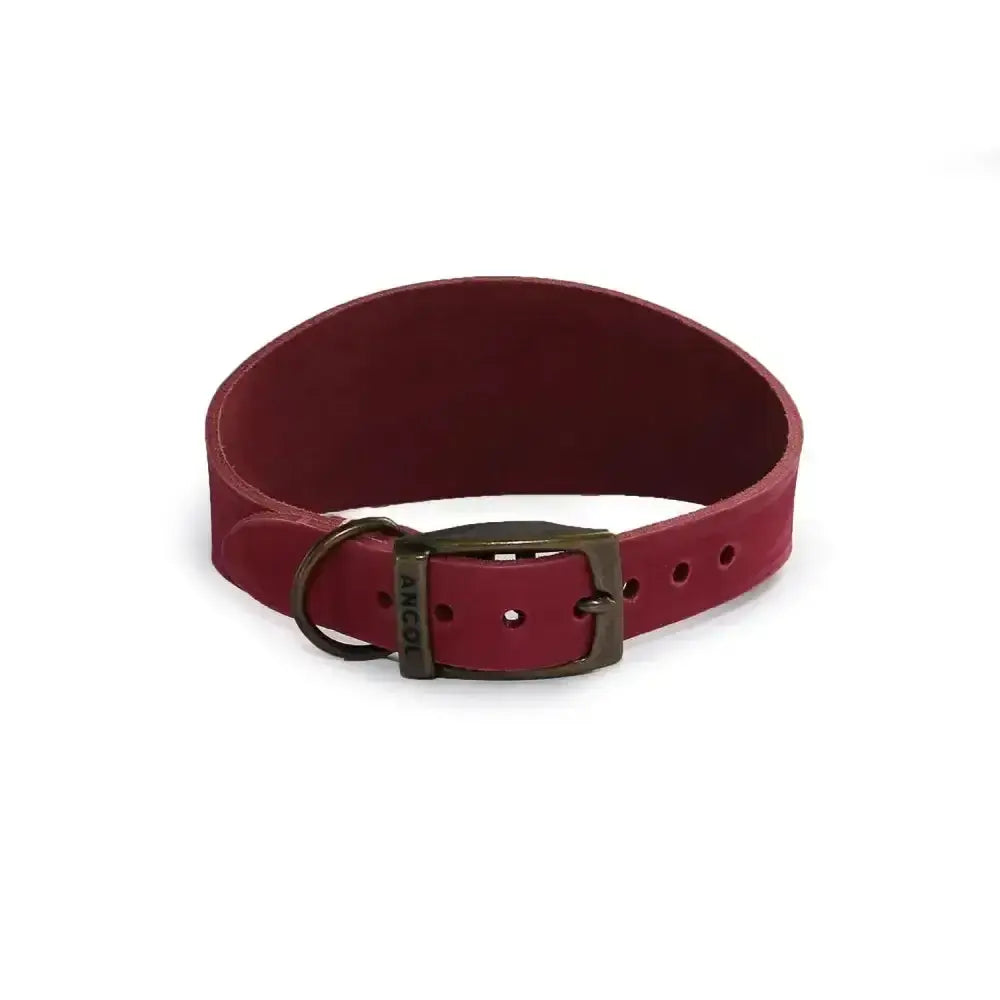 A rich burgundy leather ancol timberwolf hound collar raspberry with a sturdy metal buckle and d-ring for dogs