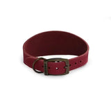 A rich burgundy leather ancol timberwolf hound collar raspberry with a sturdy metal buckle and d-ring for dogs