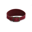 Ancol Timberwolf Hound Collar Raspberry Size 2 (30-34Cm) Raspberry Dog Harness Barnstaple Equestrian Supplies