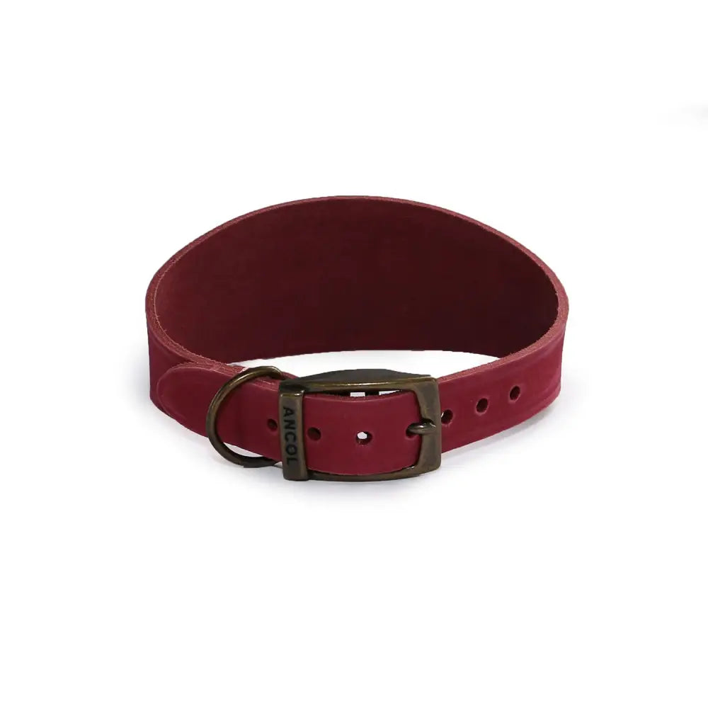 Ancol Timberwolf Hound Collar Raspberry Size 2 (30-34Cm) Raspberry Dog Harness Barnstaple Equestrian Supplies