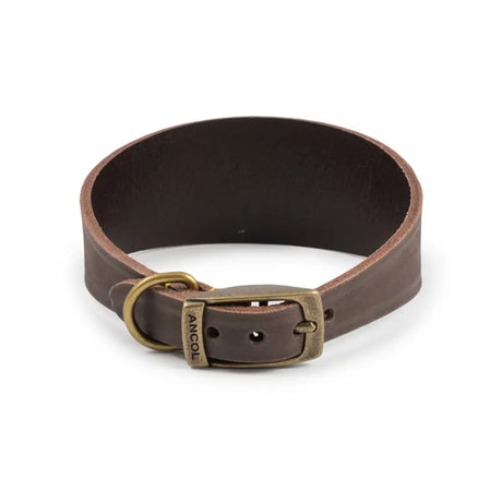 Ancol Timberwolf Hound Collar Sable Size 2 (30-34Cm) Sable Dog Collar Barnstaple Equestrian Supplies