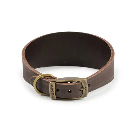 Brown leather ancol timberwolf hound collar sable with brass buckle made from top-grain bridle leather
