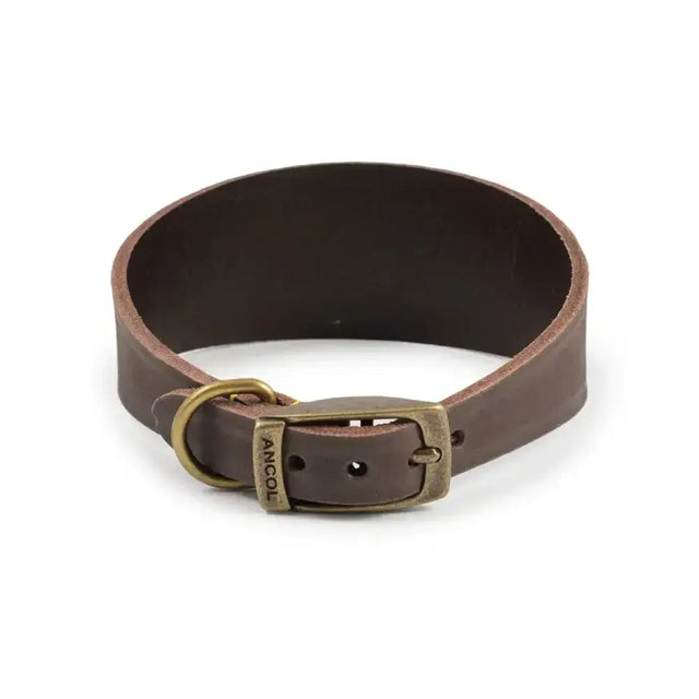 Brown leather ancol timberwolf hound collar sable with brass buckle made from top-grain bridle leather