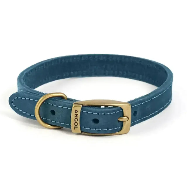 Ancol Timberwolf Leather Collar Blue Size 1 (20-26Cm) Blue Dog Collar
