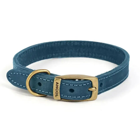 Blue ancol timberwolf leather collar made from top-grain bridle leather with gold-toned buckle and stitching