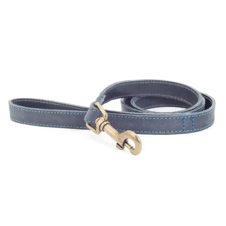 Dark blue ancol timberwolf leather dog leash with light stitching and brass metal clasp made from top-grain bridle leather