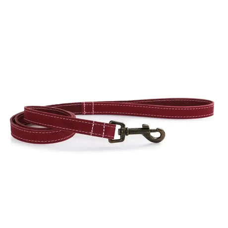 A rich burgundy ancol timberwolf leather lead with top-grain bridle leather and sturdy black metal clasp