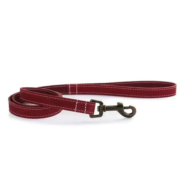 A rich burgundy ancol timberwolf leather lead with top-grain bridle leather and sturdy black metal clasp