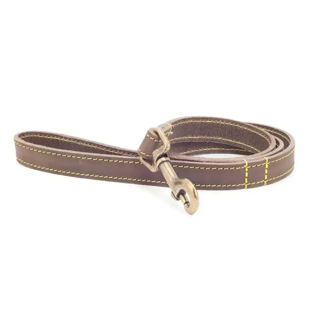 Brown leather dog leash with yellow stitching and brass clasp from ancol timberwolf leather top-grain bridle leather lead