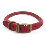 A red leather ancol timberwolf round dog collar with a brass buckle and the brand name ancol engraved on it