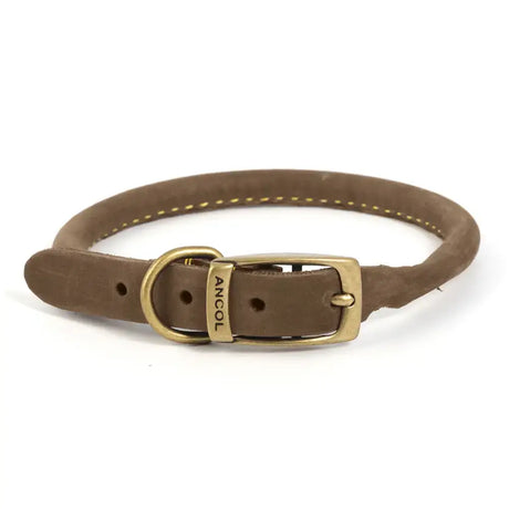 Brown suede ancol timberwolf round collar sable with brass buckle and gold stitching for dogs