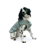 A soft sage green quilted ancol ultimate reflective dog coat with long lasting design and subtle button accents
