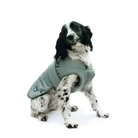 Ancol ultimate reflective dog coat in soft sage green quilted fabric with splashguard chest protector and long lasting design