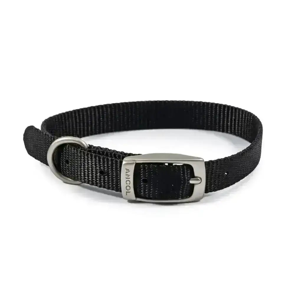 Ancol viva buckle collar black made of durable poly-weave webbing with a silver metal buckle and d-ring