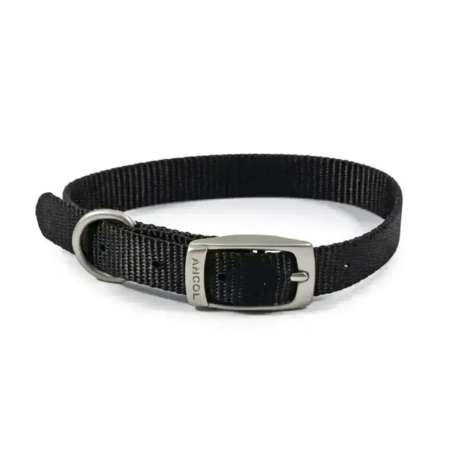 Ancol viva buckle collar black made of durable poly-weave webbing with a silver metal buckle and d-ring