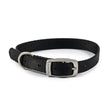 Ancol Viva Buckle Collar Black Size 1 (20-26Cm) Black Dog Collar Barnstaple Equestrian Supplies