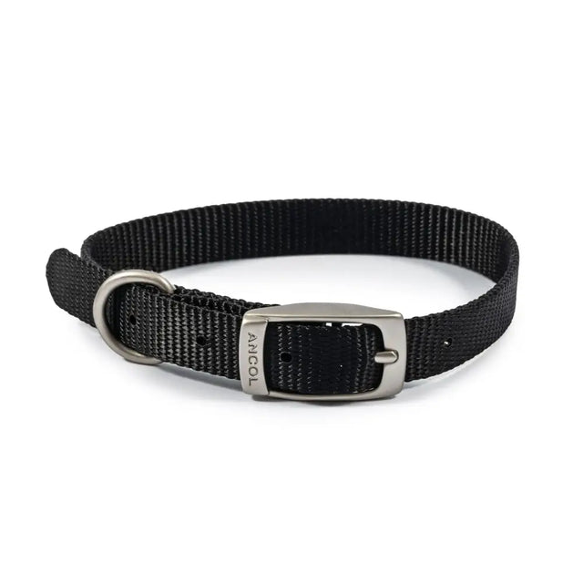 Ancol Viva Buckle Collar Black Size 1 (20-26Cm) Black Dog Collar Barnstaple Equestrian Supplies