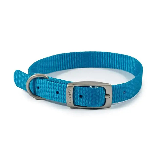 Bright blue ancol viva buckle collar made from durable poly-weave webbing with silver metal buckle and d-ring