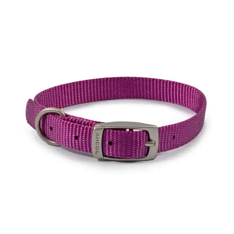 A vibrant purple ancol viva buckle collar made with durable poly-weave webbing and metal buckle with engraved brand name