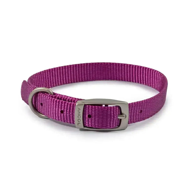 A vibrant purple ancol viva buckle collar made with durable poly-weave webbing and metal buckle with engraved brand name