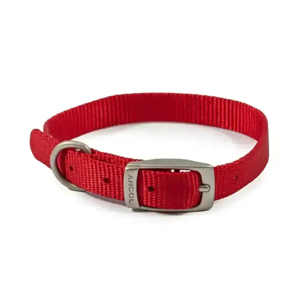 Ancol viva buckle collar red made of durable poly-weave webbing with a silver buckle and d-ring for dogs