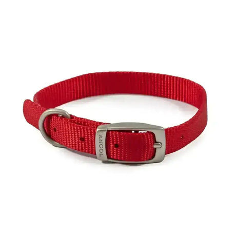 Ancol viva buckle collar red made of durable poly-weave webbing with a silver buckle and d-ring for dogs