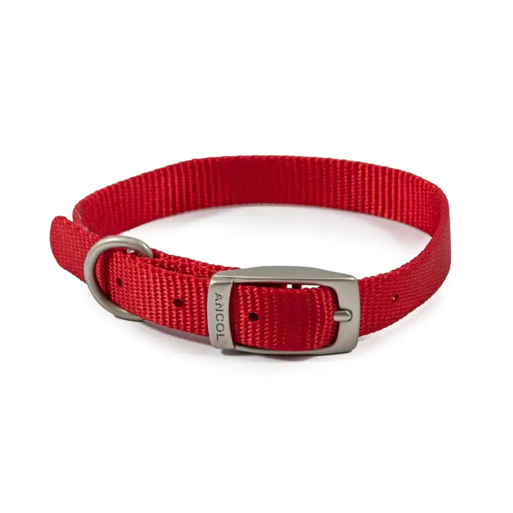 Red ancold viva buckle collar made of durable poly-weave webbing with silver metal buckle and engraved ancol logo