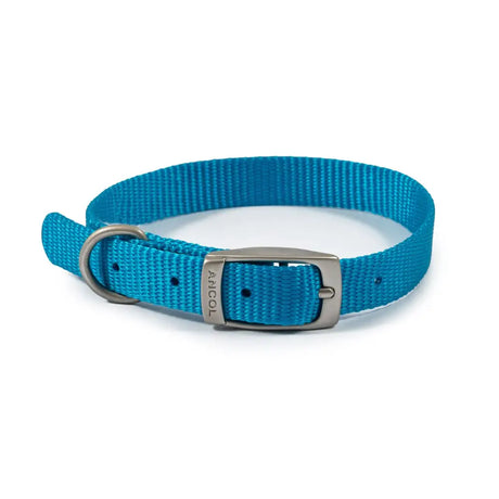 Bright turquoise woven nylon ancól viva collar with silver metal buckle and d-ring, featuring the anicol brand name