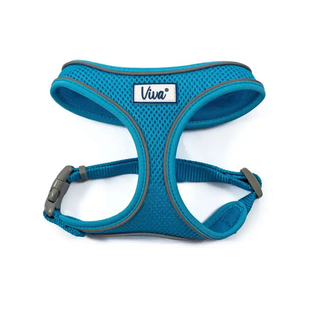 Teal viva mesh dog harness by ancol with gray trim and adjustable buckles made from breathable mesh material