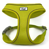 Lime green ancol viva mesh dog harness with gray plastic buckles made from breathable mesh material
