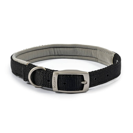 Ancol Viva Padded Buckle Collar Black SIZE-5-39-48CM-BLACK Dog Collar