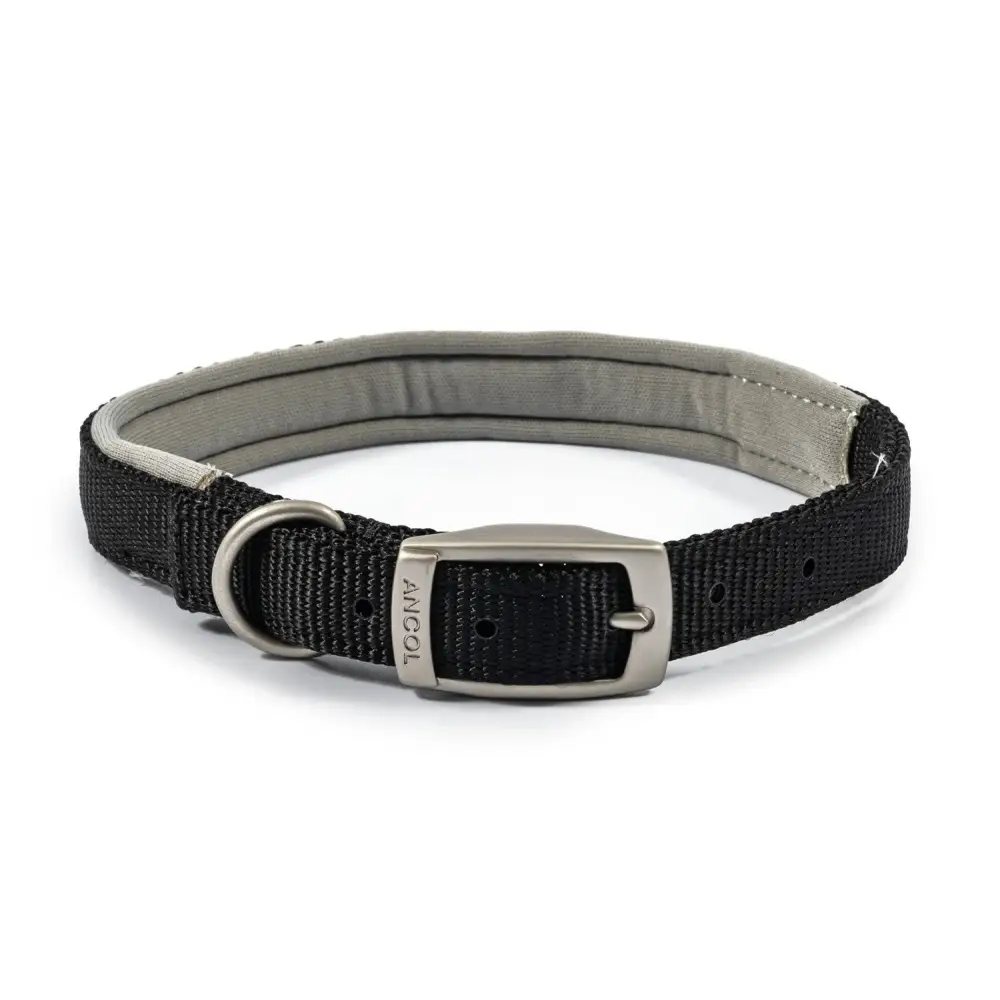 Ancol Viva Padded Buckle Collar Black Size 5 (39-48Cm) Black Dog Collar Barnstaple Equestrian Supplies