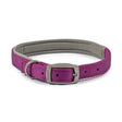 Ancol Viva Padded Collar Purple Size 4 (35-43Cm) Purple Dog Collar Barnstaple Equestrian Supplies