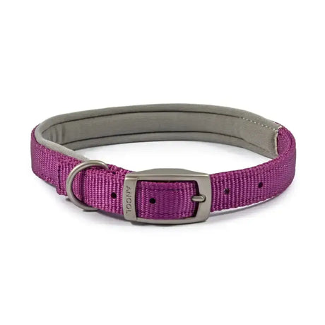 Purple woven ancol viva padded collar with gray padded interior and satin buckle for comfortable dog wear
