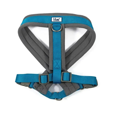 Blue and gray ancol viva padded harness with poly-weave webbing and viva brand label in padded harness blue style
