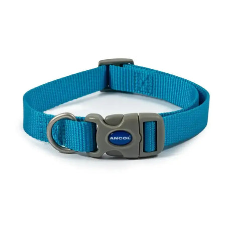 Bright blue ancol viva quick fit dog collar with gray buckle durable poly-weave webbing and metal d-ring