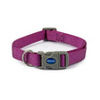 Purple woven nylon ancol viva quick fit collar with gray buckle and metal d-ring for easy quick fit collar use