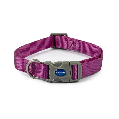 Purple woven nylon ancol viva quick fit collar with gray buckle and metal d-ring for easy quick fit collar use