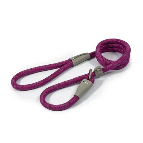 A vibrant magenta ancol viva rope slip lead purple with braided rope and silver metal hardware for easy control