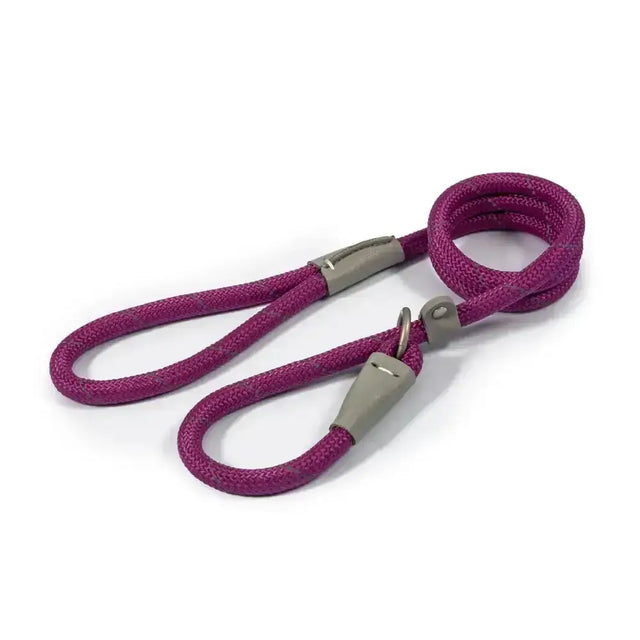 A vibrant magenta ancol viva rope slip lead purple with braided rope and silver metal hardware for easy control