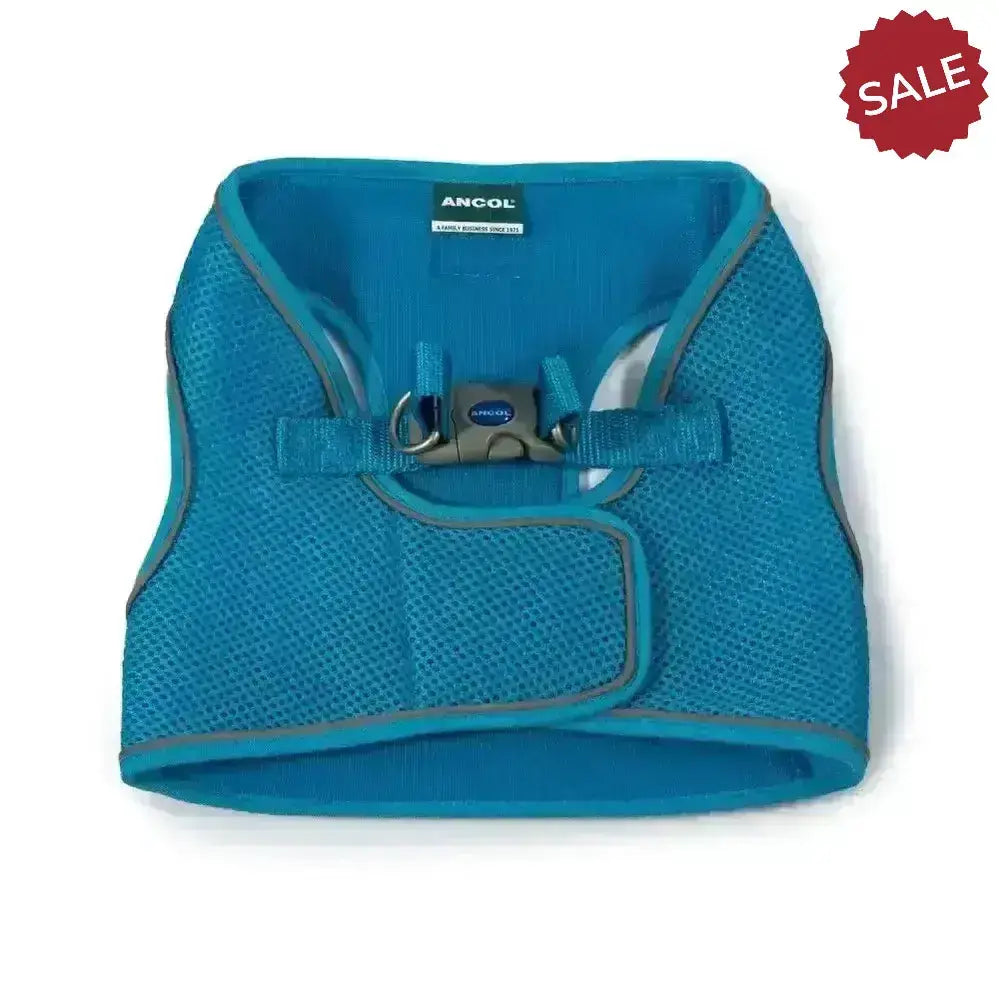 Bright blue ancol viva step-in harness with gray trim mesh and silver buckle designed for easy step-in use