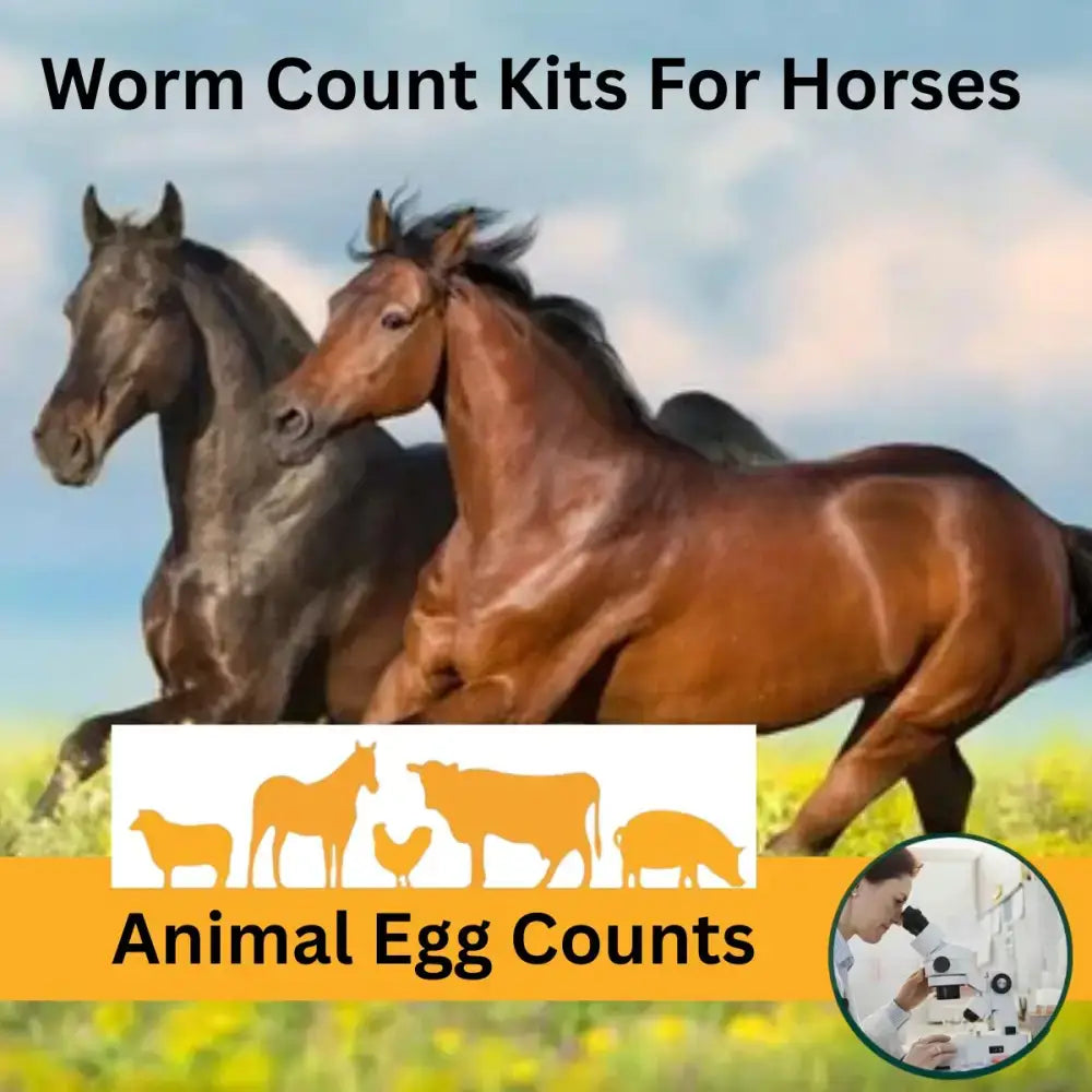 Animal egg counts for horses worm testing kits with vibrant orange and white design for faecal egg detection