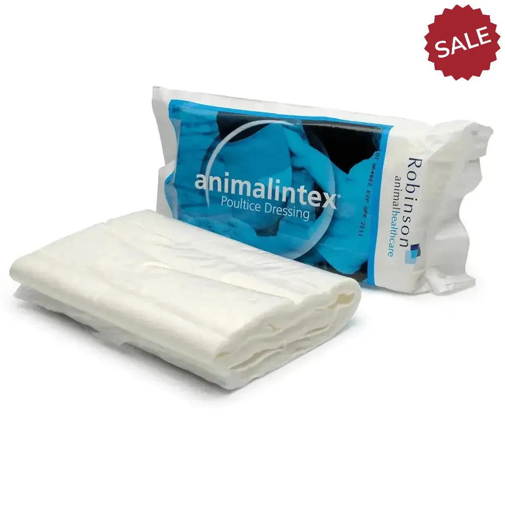Animalintex Poultice Dressing Single Pack Poulticing