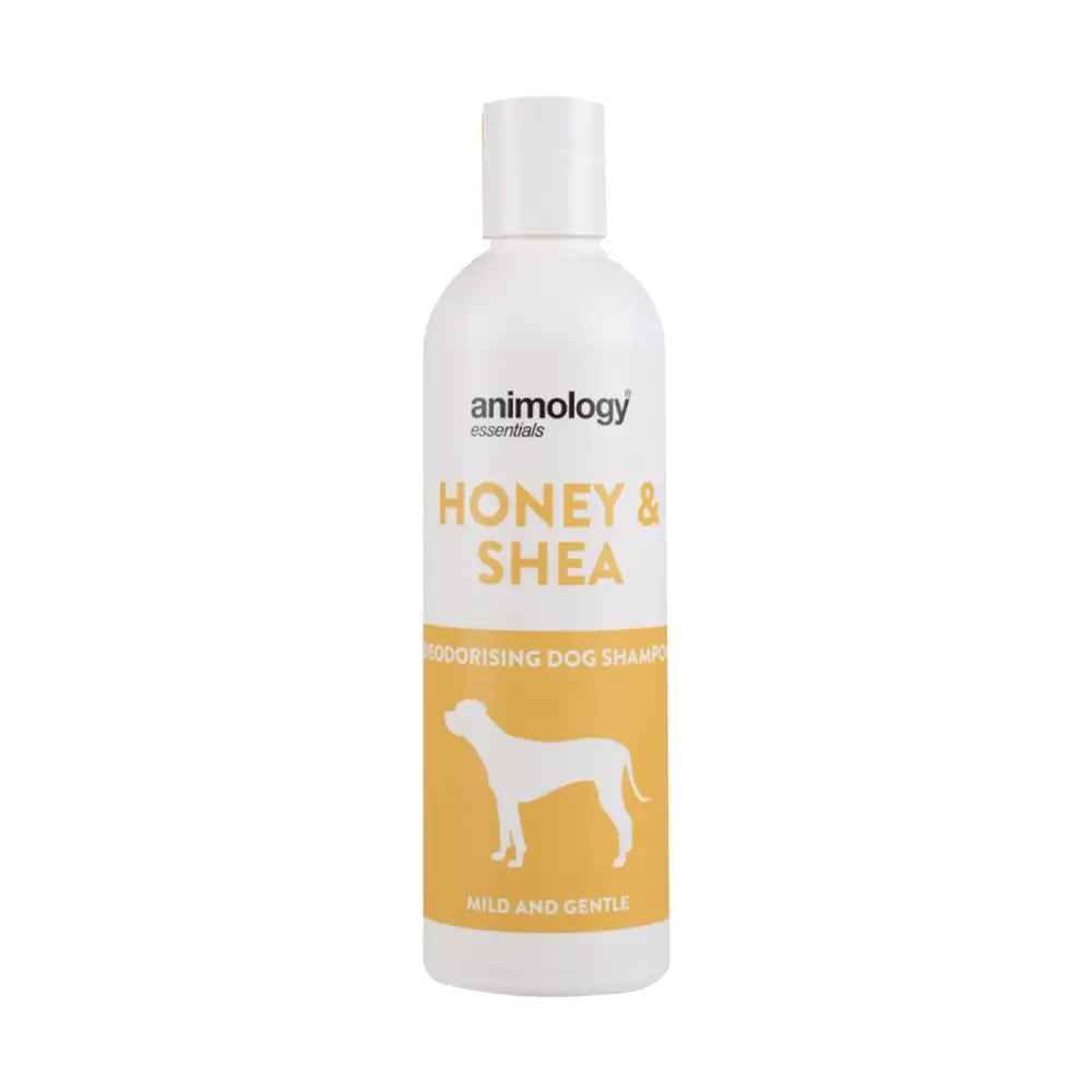 Bottle of Animology Essentials Honey & Shea Dog Shampoo for healthy pet care