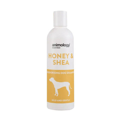 Bottle of Animology Essentials Honey & Shea Dog Shampoo for healthy pet care