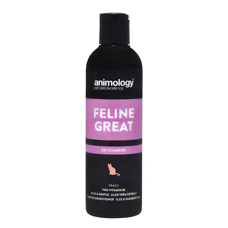 Black bottle of Animology Feline Great Cat Shampoo for healthy, happy cats